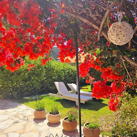 Corfu Dream Holidays *