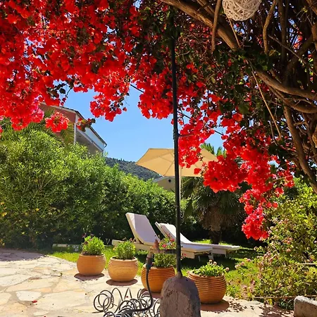 Corfu Dream Holidays *