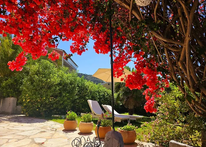 Corfu Dream Holidays *