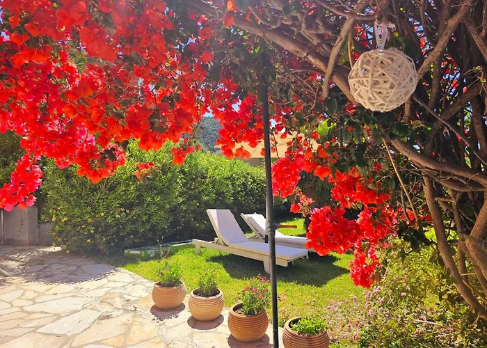 Corfu Dream Holidays *