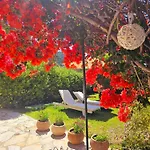 Corfu Dream Holidays *