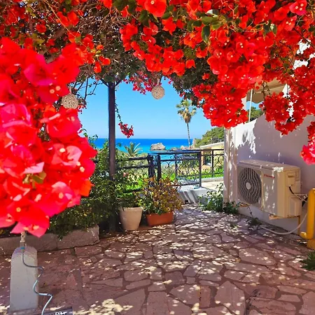 Corfu Dream Holidays 글리파다